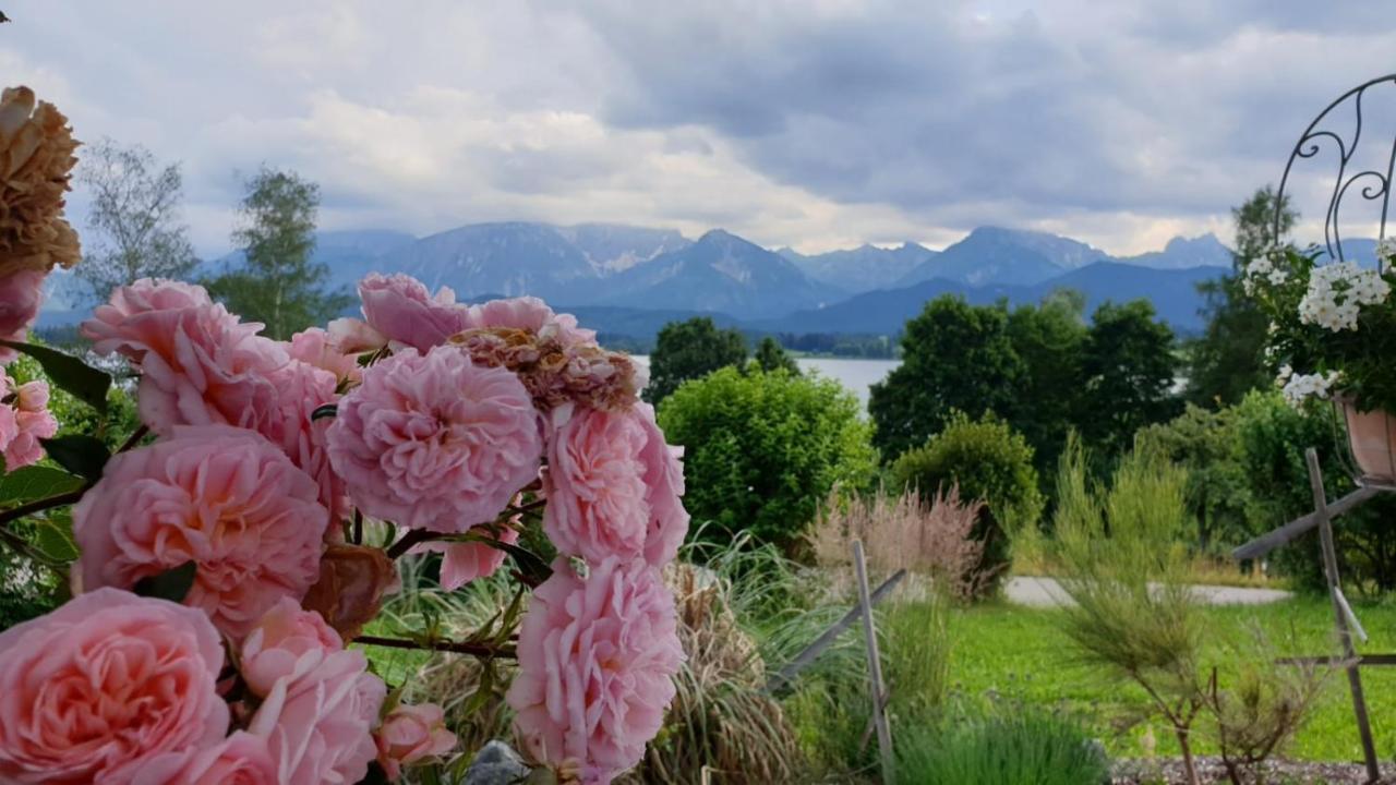 Апартаменты Amberg Hopfen Am // Hopfensee //