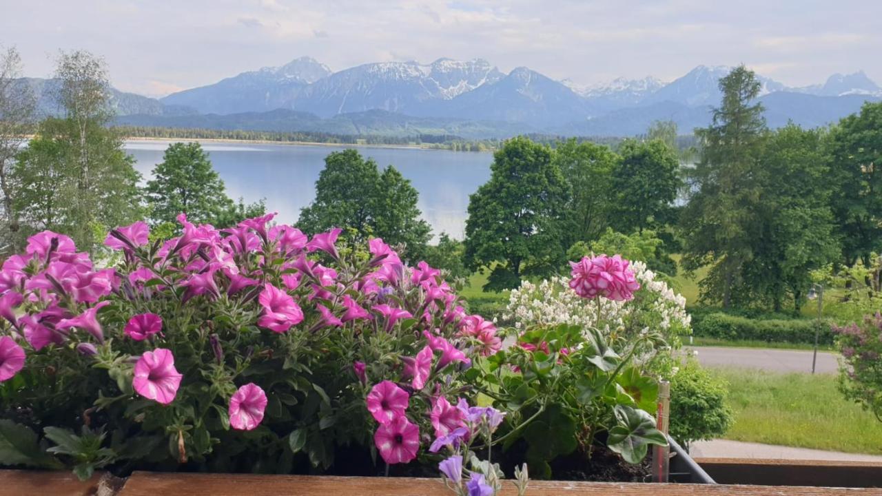 Апартаменты Amberg Hopfen Am // Hopfensee //
