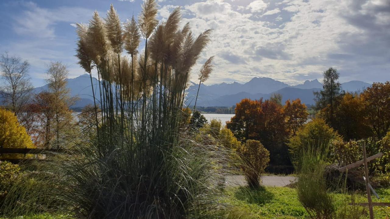 Апартаменты Amberg Hopfen Am // Hopfensee // *